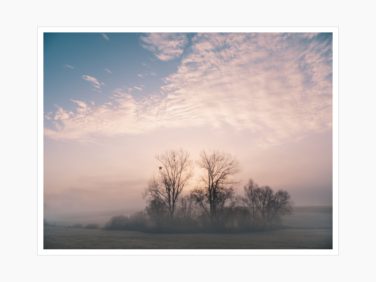 Max Schiefele Alle Bilder  DSF4326